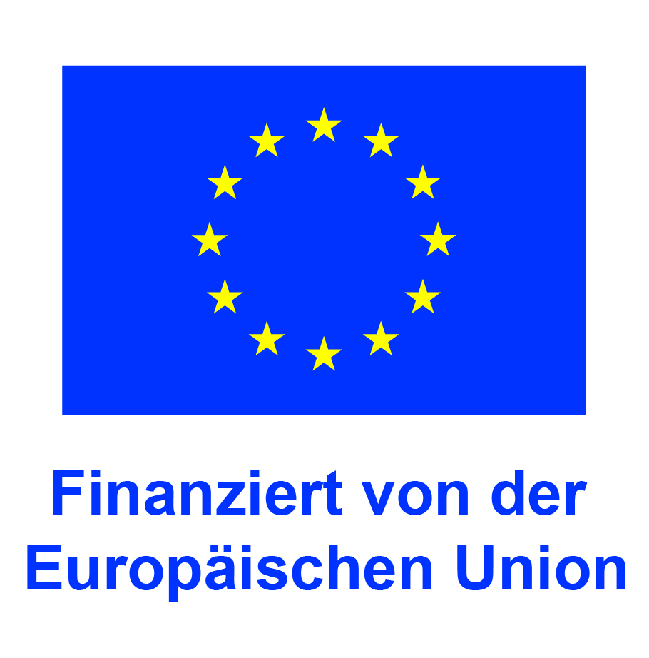 Logo von Finanzierungen der Europäischen Union mit 12 Sternen auf blauem Hintergrund.