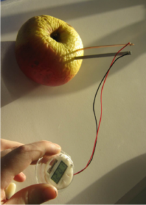 In einem Apfel stecken zwei Stromkabel.